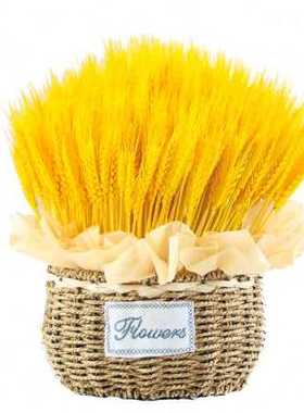 极速金黄色天h然麦穗干燥花束开业大麦客厅田园风装饰摆件礼盒插