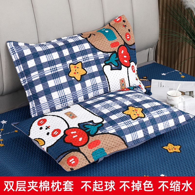 双层夹棉枕套一对装48*74加厚磨毛单人学生宿舍枕套男家用枕芯套