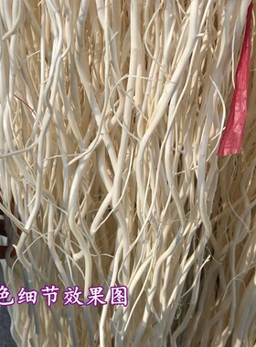 龙柳 龙柳干枝假树枝装饰白色干花龙桑装饰隔断橱窗装饰天然树枝
