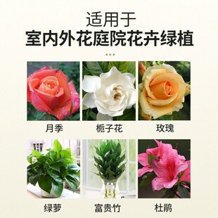 水培植物营养液家用水养花卉通用肥料发财树绿萝绿植专用液体肥料