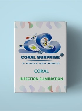 CS小白瓶 珊瑚感染  STN/RTN 布朗冻 真叶硬骨检疫