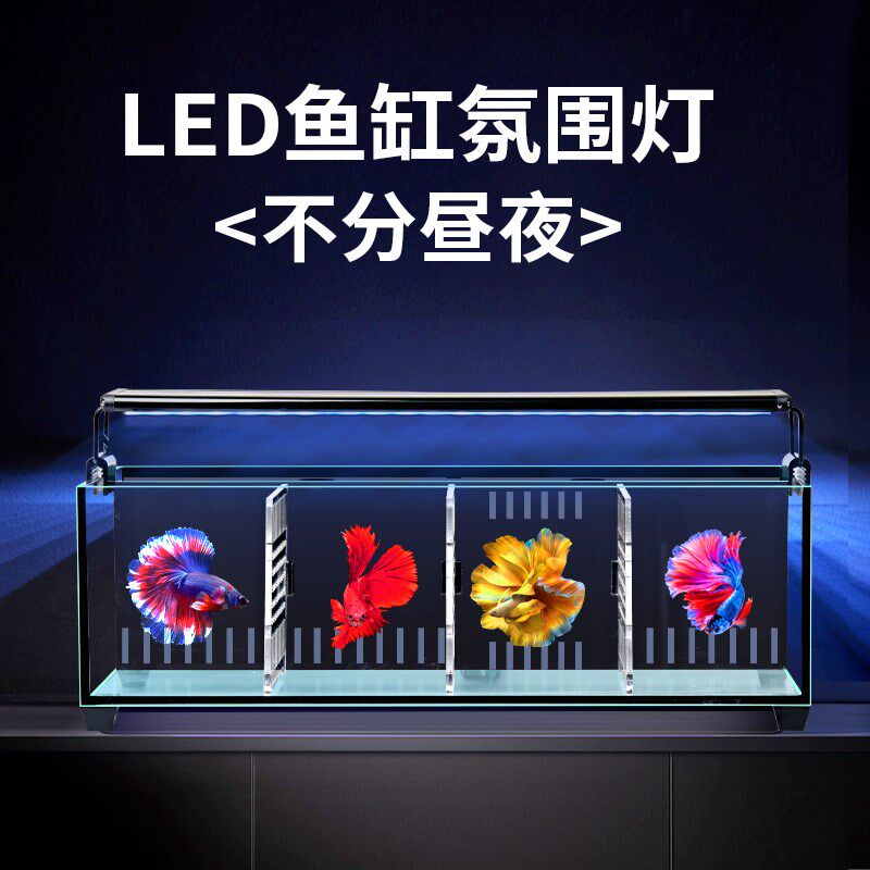 客厅小型鱼缸超白斗鱼缸玻璃多格隔离背滤免换水生态金鱼缸水族箱,宠物/宠物食品及用品,桌面缸,淘宝优惠券,粉丝福利购,淘宝优惠卷