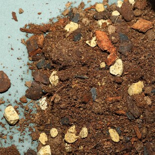 溪石高级观叶植物专用培养土有机营养土白龟背竹花烛保水透气健根