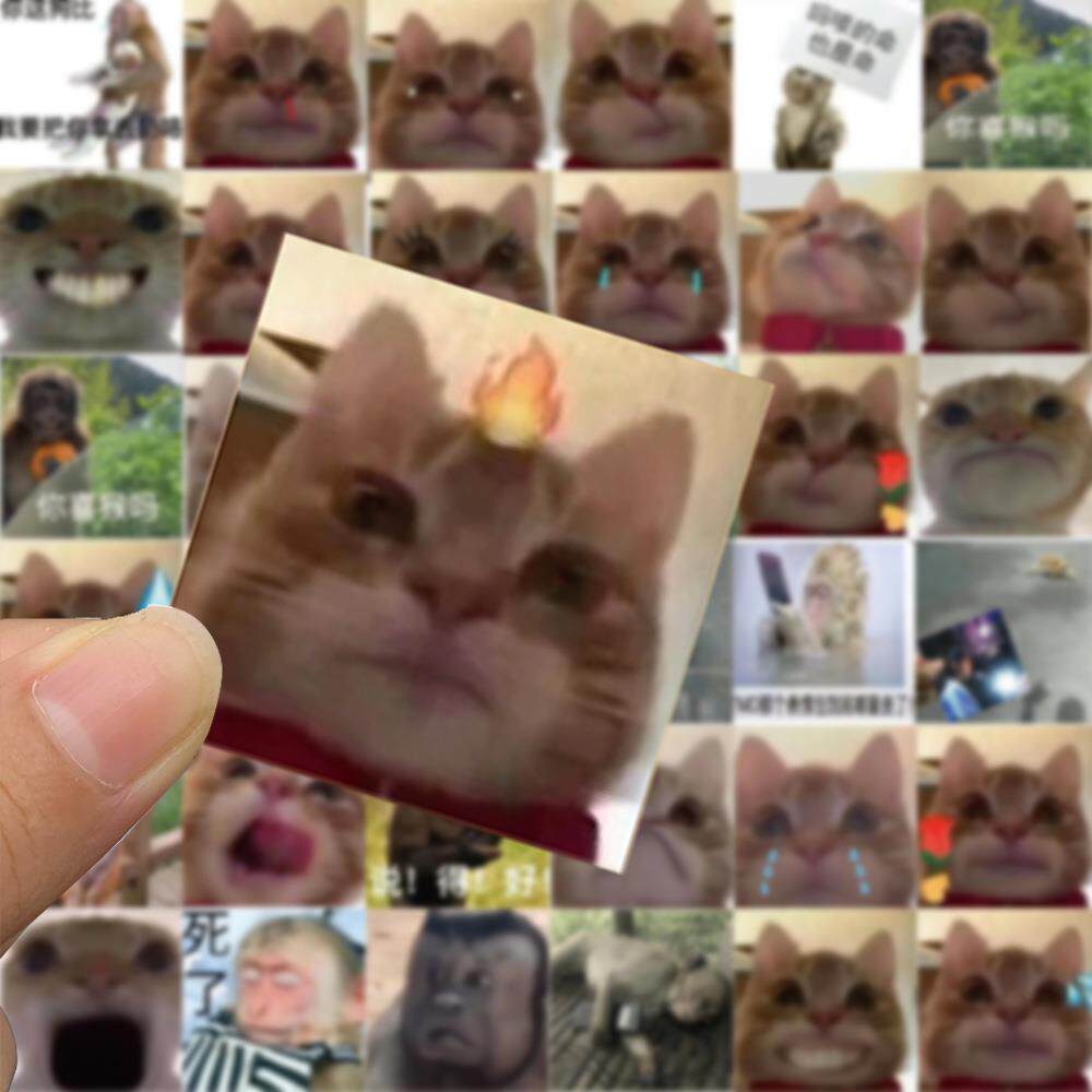 新款直销62张热门歪嘴小猫贴纸沙雕表情包喜猴手机壳笔记本个性防