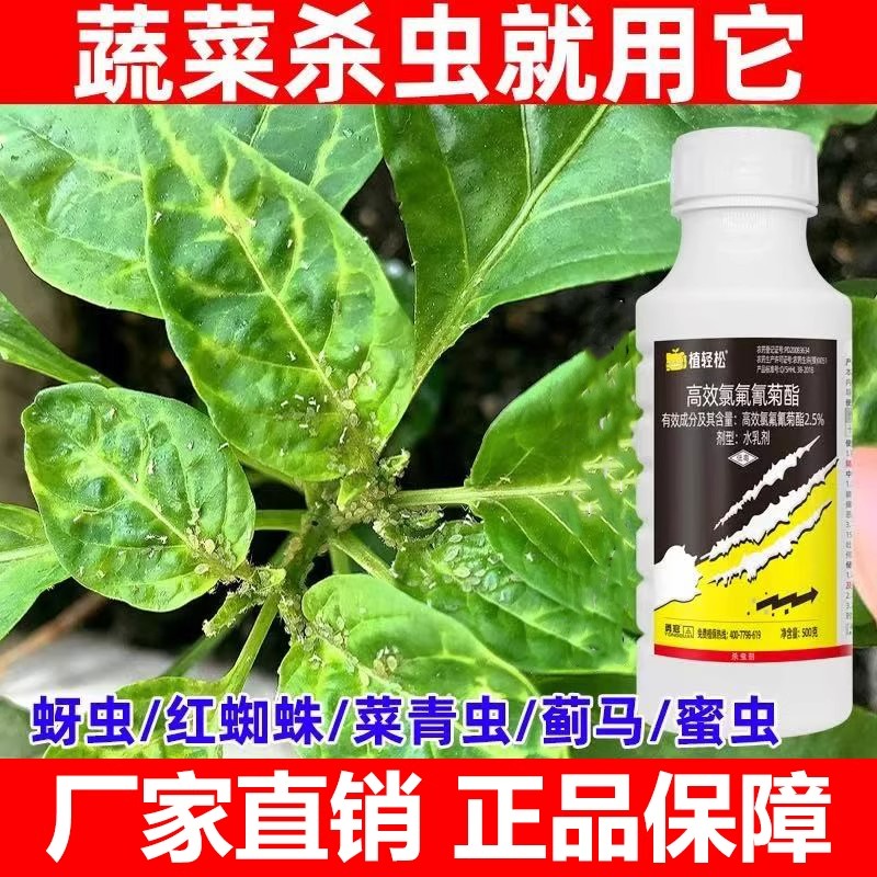 高效氯氟氰菊酯蔬菜青虫果树农药土壤地下害虫花卉蚜虫杀虫剂农用