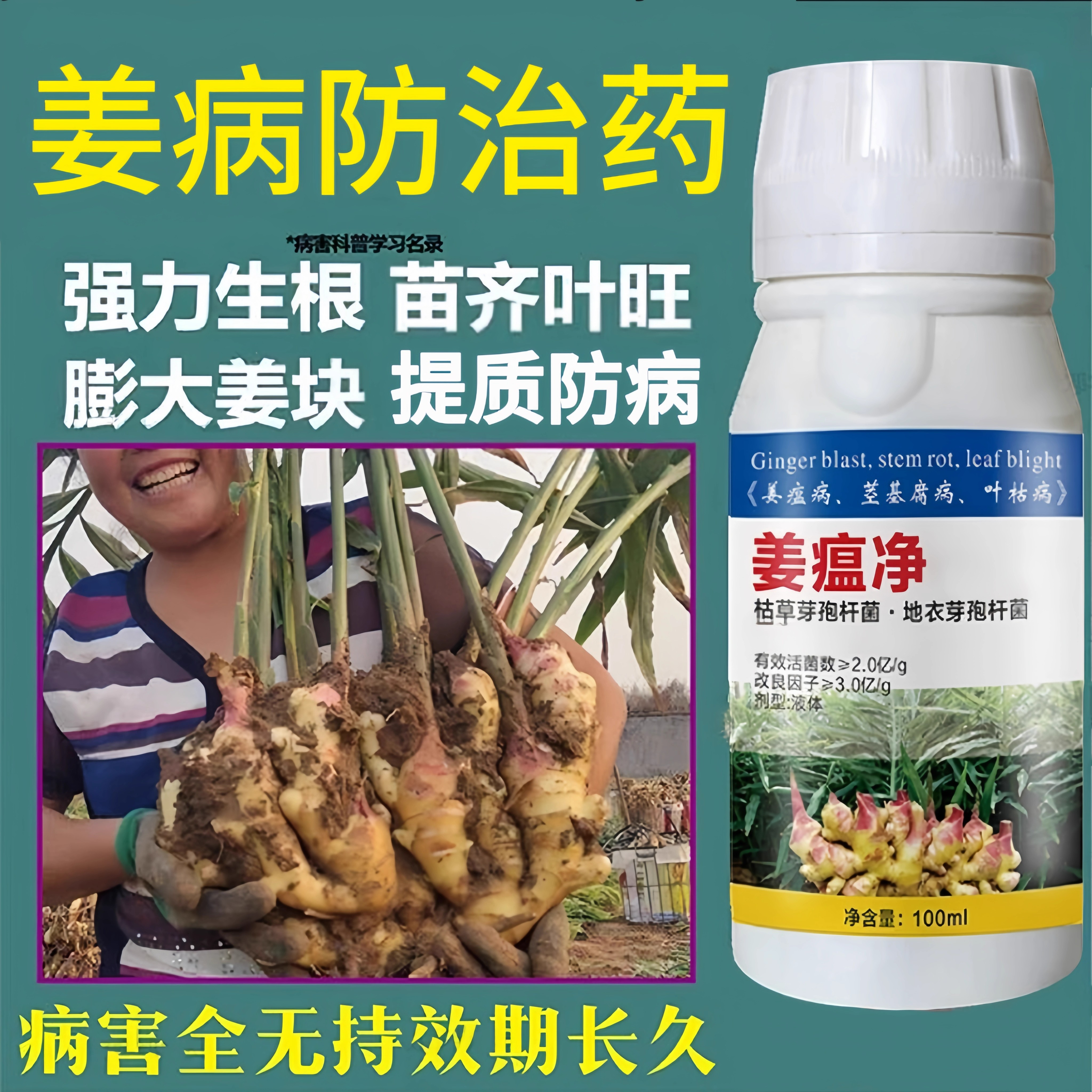 姜瘟净沙姜生姜病大姜姜瘟烂脖子根腐病腐烂病茎基腐病防治药正品