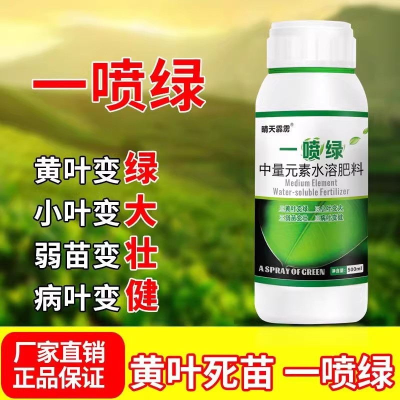 一喷绿氨基酸叶面肥素黄枯