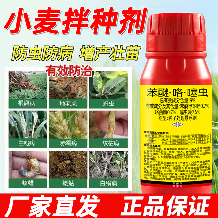 苯醚·咯·噻虫种子拌种剂小麦玉米小麦大豆大蒜种衣剂防虫杀菌剂