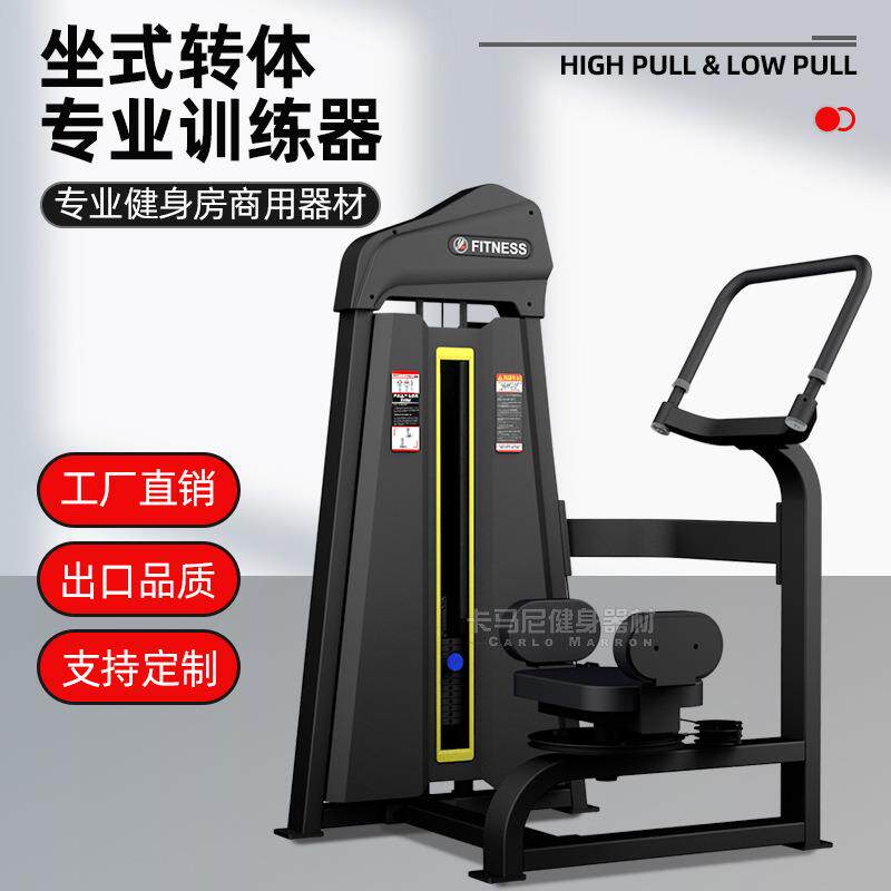 商用健身器材腰部髋部锻炼力量器械健身房专用局部转体训练器室内
