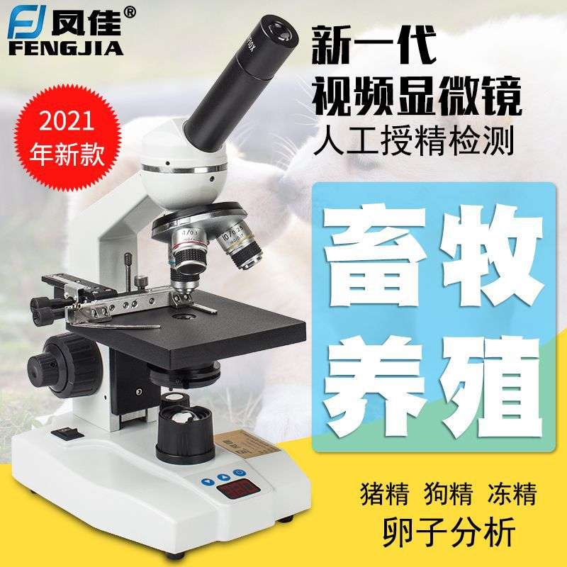 凤佳生物显微镜人工授精显微镜畜牧养殖水产恒温加温平台螨虫检测