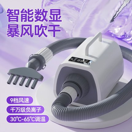 狗狗专用吹水机宠物m吹风机大功率静音大型犬吹毛猫咪洗澡吹干神