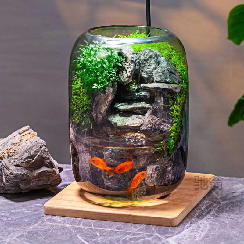麓f石上清泉流水款养鱼缸真植物苔藓微景观生态瓶办公室成品室内