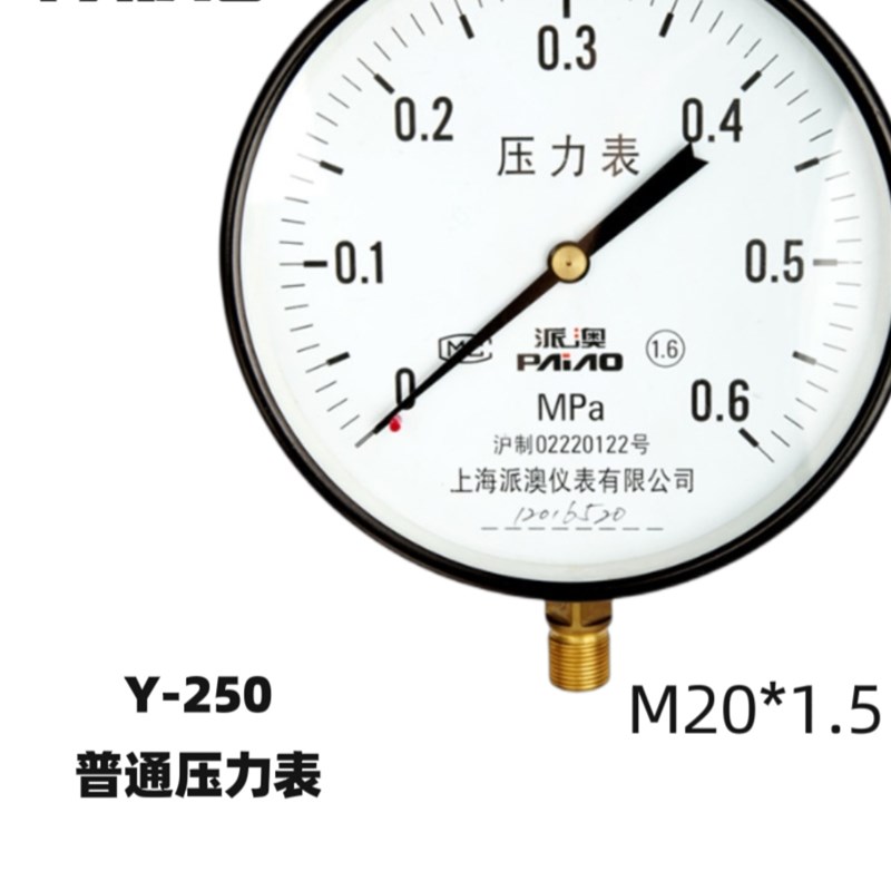 派澳仪表Y200  1MPa压力表耐B高温水压蒸汽锅炉大表面 不锈钢 优