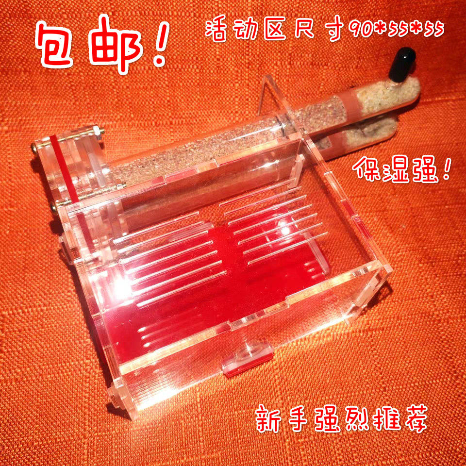 亚克力蚁巢双试管蚁巢蚂蚁城堡竹节巢蚂蚁工坊玻璃蚁巢宠物蚂蚁图片
