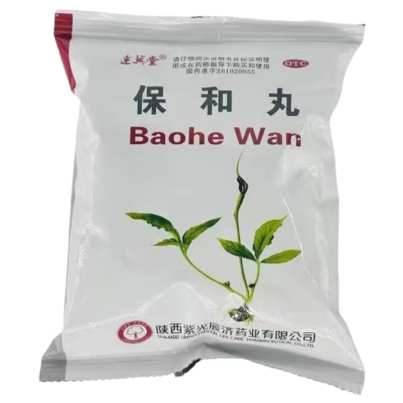 达兴堂 紫光辰济 保和丸 9g*10丸/包