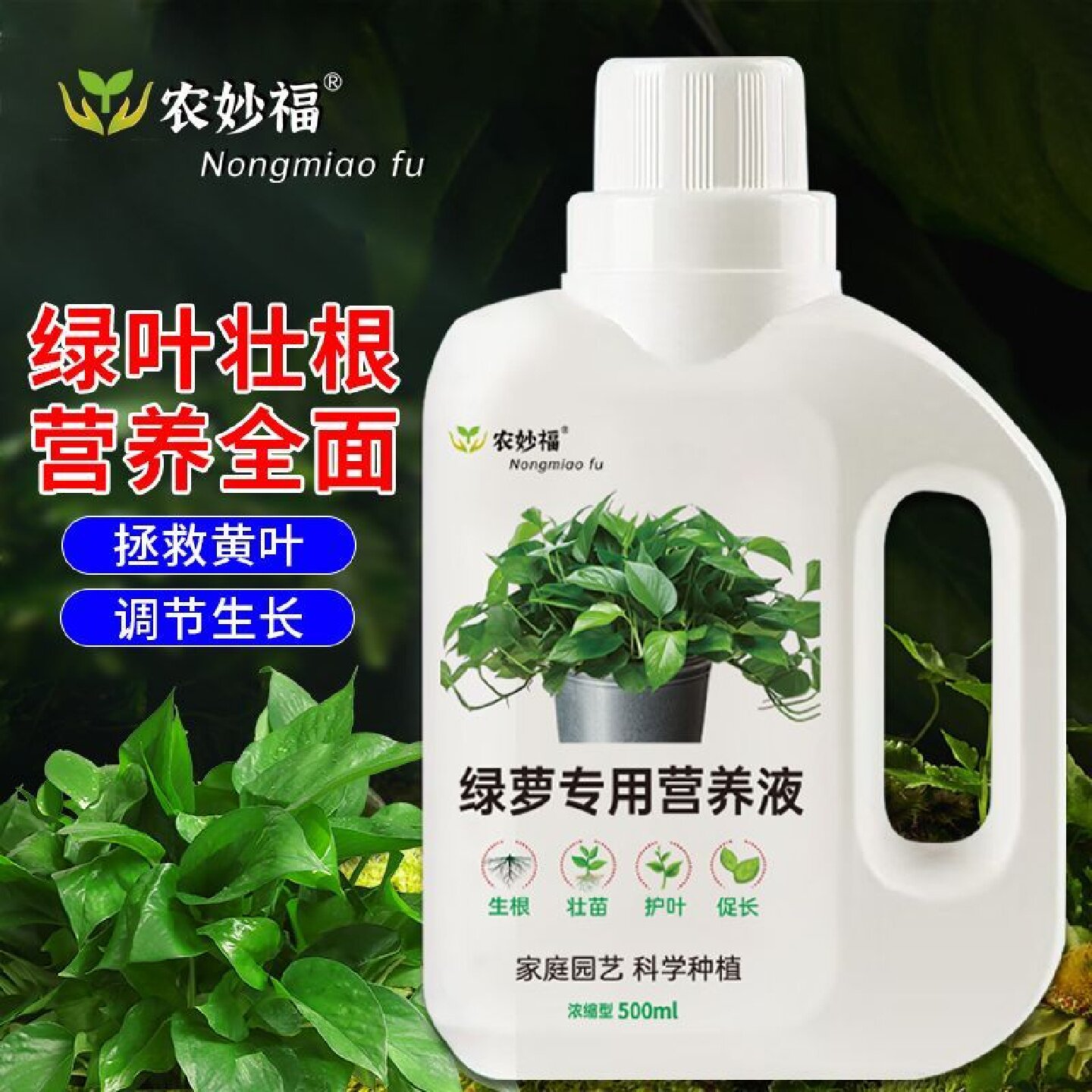 绿萝富贵竹免稀释防黄叶营养液