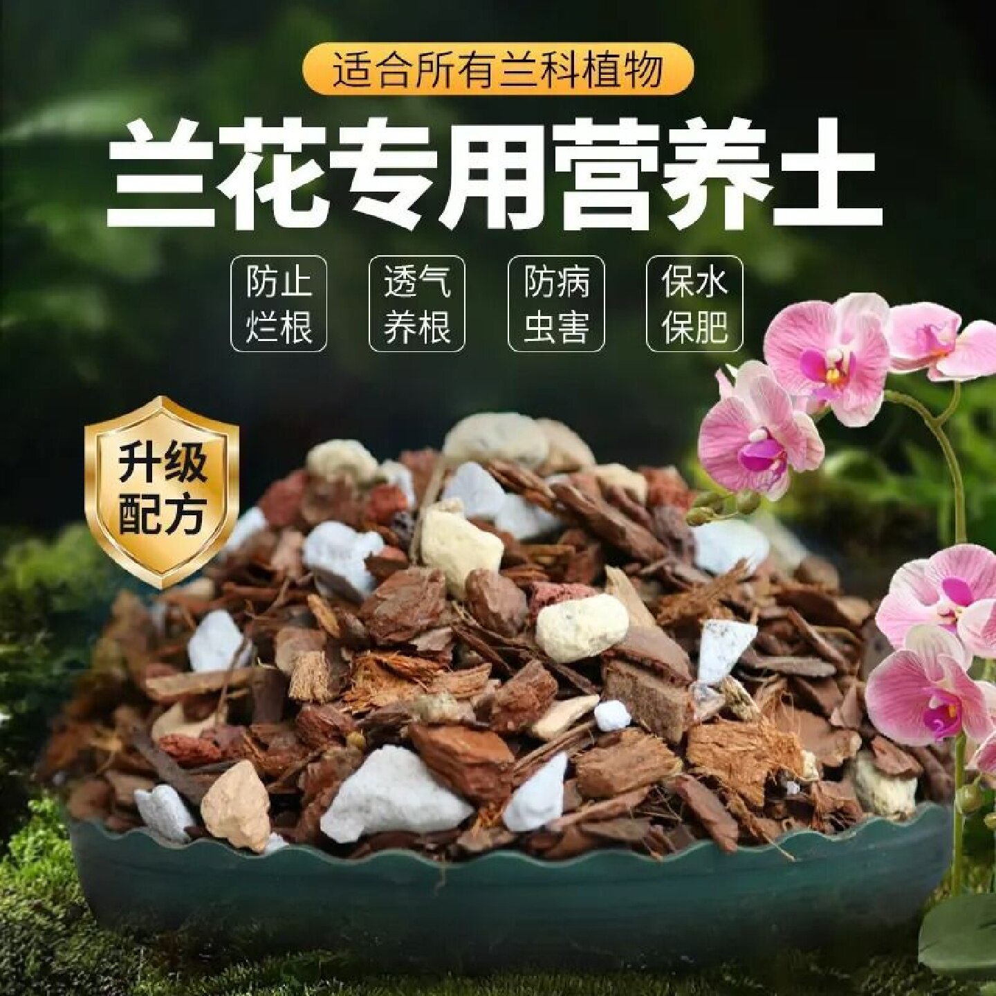 君子兰蝴蝶兰专用骨粉颗粒花土