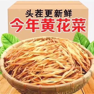 特级无硫头茬黄花菜官方旗舰店2025新货金针菜凉拌火锅煲汤食材