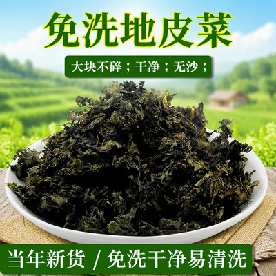 新鲜野生地皮菜免洗干货地软地达菜地衣地木耳雷公菌包包子素菜