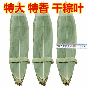粽子叶50片棕叶新鲜大号新叶包粽子专用叶子端午节商用批发干粽叶