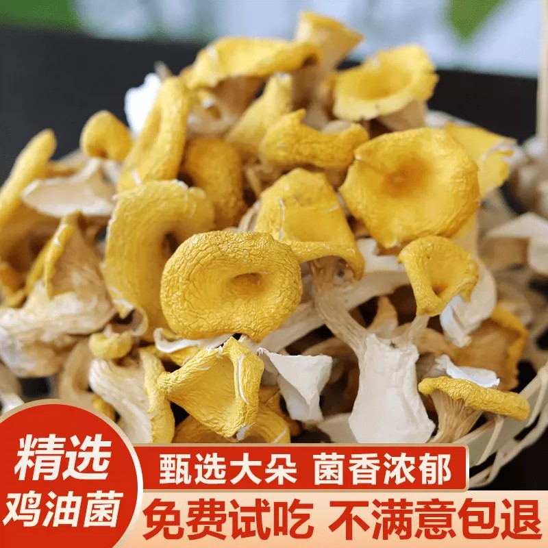 东北野生榆黄蘑鸡油菌干货特级黄金菇黄丝菌煲汤食用菌蘑菇小黄蘑