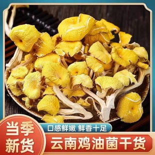 鸡油菌干货菌状元 云南蘑菇新鲜干黄丝菌菇鸡油菌菇煲汤500g
