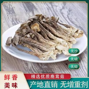 鹿茸菇干货特级500g鹿茸菌鹿茸菇煲汤食材食用东北菌菇野蘑菇香菇