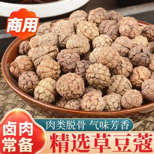 草寇香料豆蔻炖肉卤料佐料香料大全煲汤调料草寇仁老豆蔻500g