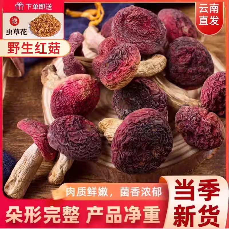 云南当季精选新鲜红菇干货500g野生无硫营养菌菇食用煲汤食材特产