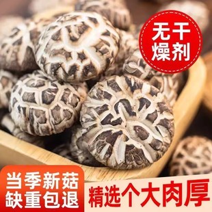 粤北花菇农家野生食用菌新鲜蘑菇冬菇新货高山薄香菇散装干货煲汤