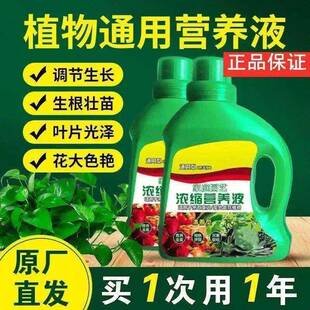 超浓缩植物营养液花肥通用化肥料家用绿植盆栽多肉绿萝叶黄君子兰