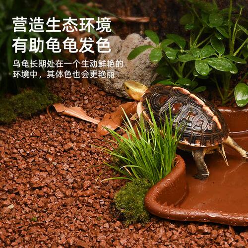 黄缘龟缸造景专用泥土安缘龟颗粒红土保湿垫材陆龟爬宠饲养箱用品