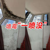 2瓶装 墙体除霉剂 2白墙体家用墙壁墙面发霉去霉斑霉菌清洁去霉剂