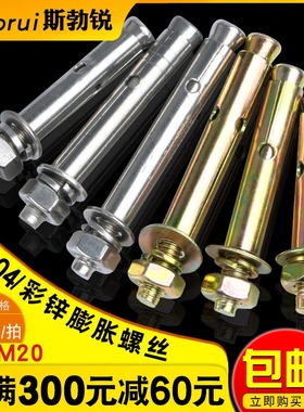 膨胀螺丝镀锌铁拉爆螺钉爆炸罗丝膨胀螺栓M6M8M1J0M12M14M16M18M2