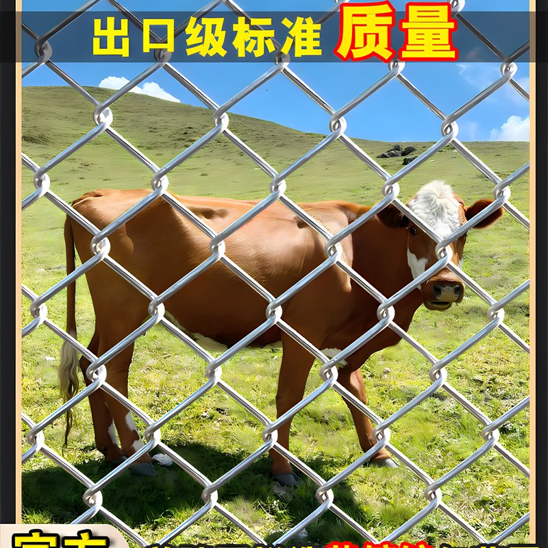 防锈镀锌铁丝网钢丝网户外护栏网户O养牛羊鸡网菜园钩网