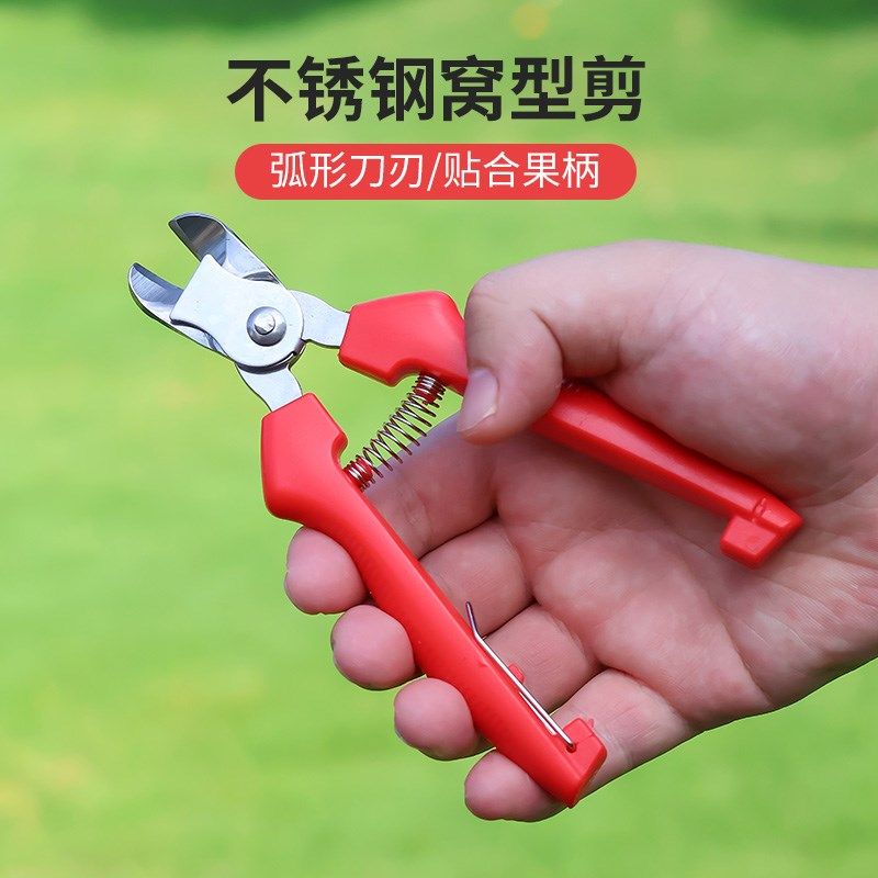 窝型摘果子专用剪子苹果把窝剪刀采果剪脐橙桔子柑橘Y番茄水果修,厨房电器,其它厨房家电配件,淘宝优惠券,粉丝福利购,淘宝优惠卷