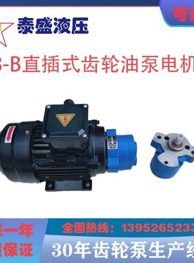 CB-B6/B4g/CB-B10R锯床齿轮油泵电机组CBW-B2.5JZ 0.37/0.55KW润