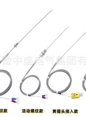 炉壁热电阻WRNK2-191M 0-800℃ L=2000*2000