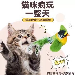 猫玩具仿真小鸟发声自嗨解闷神器逗猫棒消耗体力幼猫玩具猫咪用品