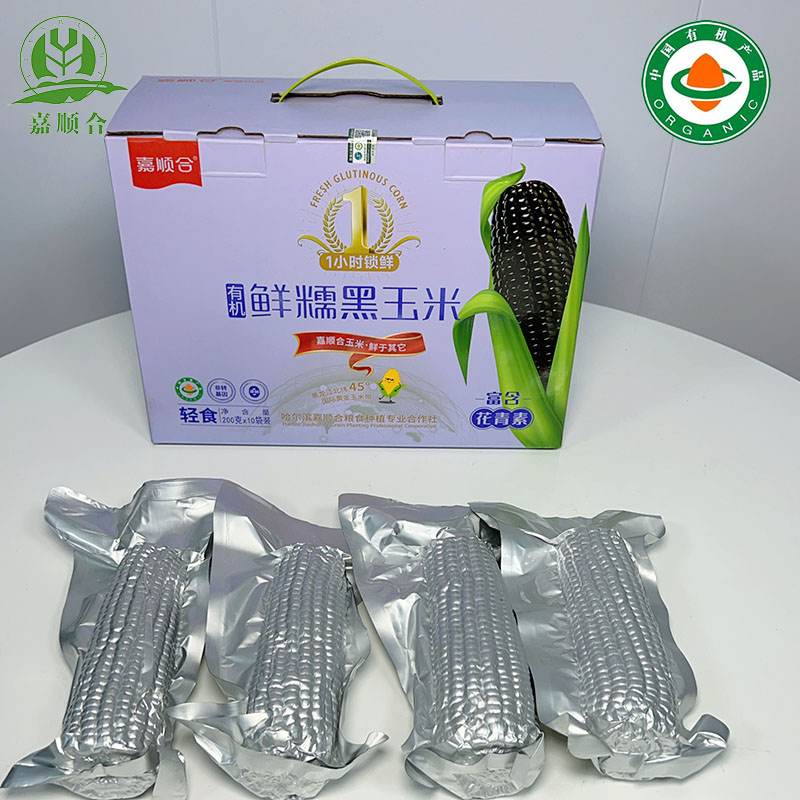 有机黑糯玉米棒甜苞米早餐真空包装黏玉米苞米杂粮非转基因新玉米