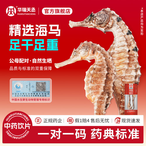 华瑞天丞三斑海马良心价送货上门