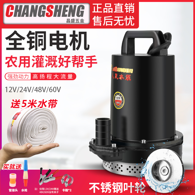 上海人民12V24V48V60V直流潜水泵抽水泵家用农用刷车电动车高扬程