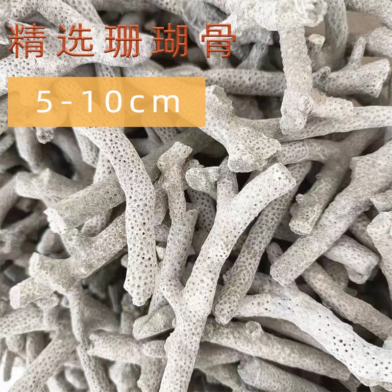 天然珊瑚骨滤材鱼缸过滤材料净水珊瑚石净化珊瑚砂鱼缸滤材图片