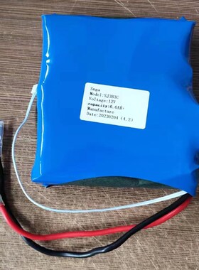 电梯配件无机房自动松闸装置SNGA/SJ2B3C/12V/4.06.0AH专用锂电池