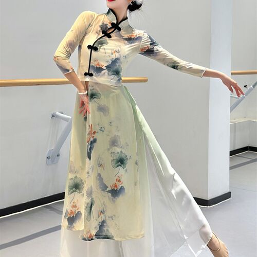 新款古典舞旗袍飘逸女中国风舞蹈身韵纱衣民族舞表演服练功服装女