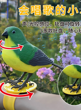 仿真鸟感应鸟装饰会叫会说话花园园艺小摆件创意家居装饰品摆设