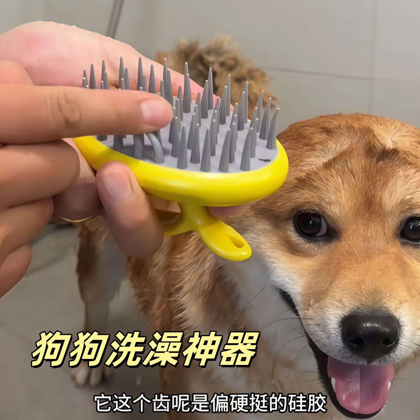 狗狗洗澡刷子撸猫咪沐浴刷搓澡神器宠物柴犬去浮毛硅胶按摩清洁刷