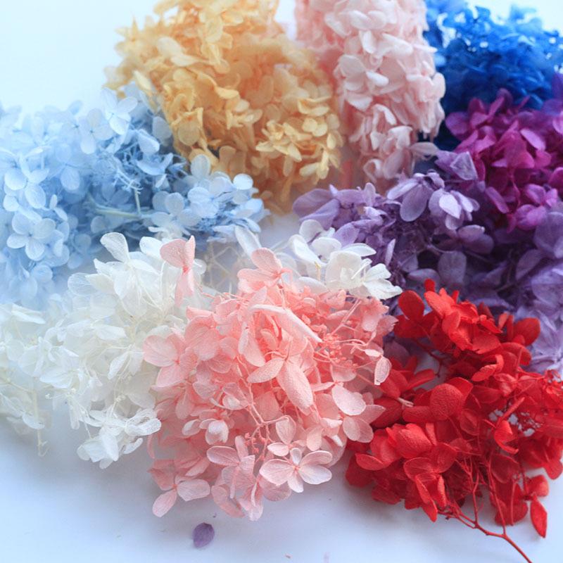 AB级永生花木绣球安娜绣球干花浮游花香薰团扇diy材料包花材