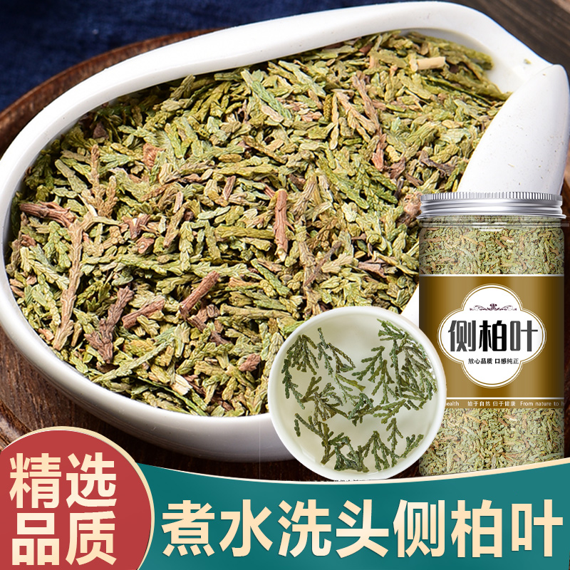 侧柏叶中药材500g正品官方旗舰店新鲜干货野生扁柏叶柏树叶洗头发