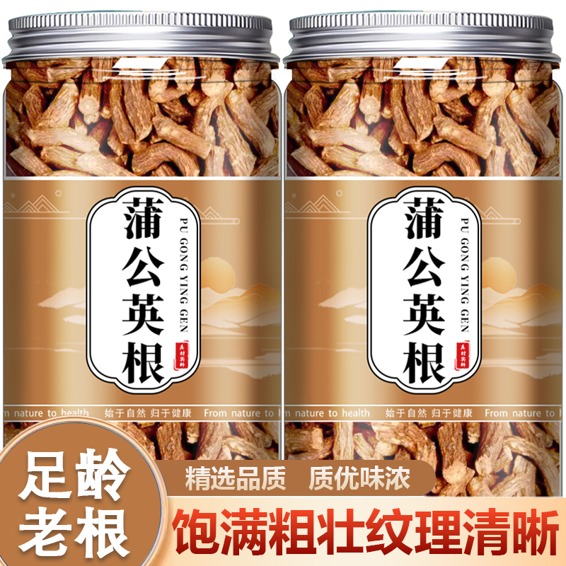 长白山野生蒲公英根官方旗舰店新鲜特级炒熟干货蒲公英根散结泡茶